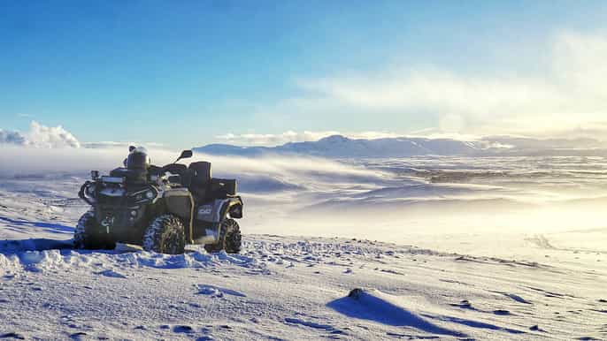atv whale watching