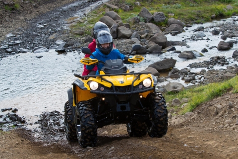 Reykjavik: Quad- & Walbeobachtungs-TourPrivate Fahrt im ATV-Fahrzeug & Walbeobachtung