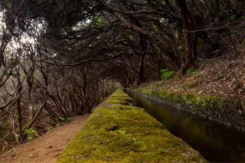 Spacery po Maderze: Rabaçal i 25 fontannMadeira Walks - Rabaçal i 25 fontann