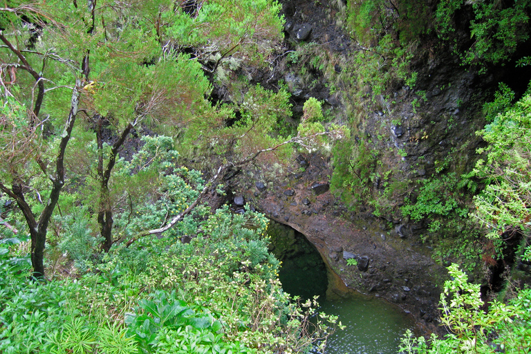 Spacery po Maderze: Rabaçal i 25 fontannMadeira Walks - Rabaçal i 25 fontann