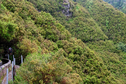 Spacery po Maderze: Rabaçal i 25 fontannMadeira Walks - Rabaçal i 25 fontann