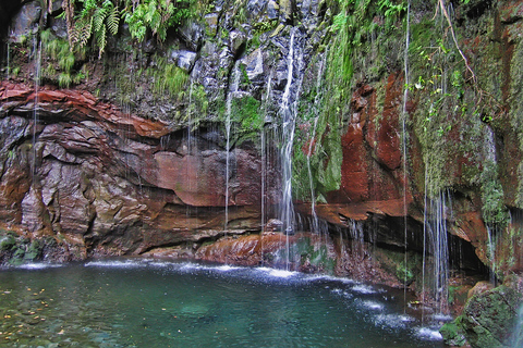 Spacery po Maderze: Rabaçal i 25 fontannMadeira Walks - Rabaçal i 25 fontann