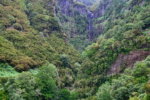 Spacery po Maderze: Rabaçal i 25 fontannMadeira Walks - Rabaçal i 25 fontann