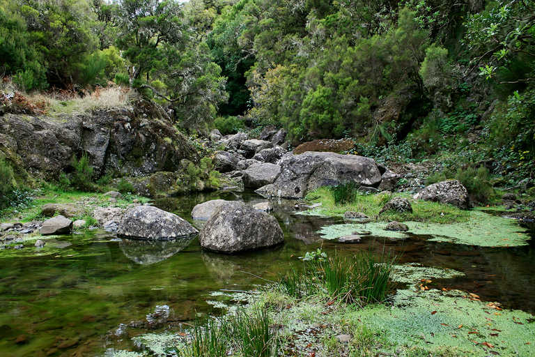 Spacery po Maderze: Rabaçal i 25 fontannMadeira Walks - Rabaçal i 25 fontann