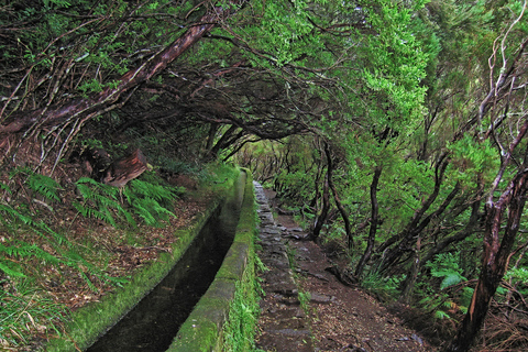 Madeira Walks - Rabaçal and the 25 Fountains