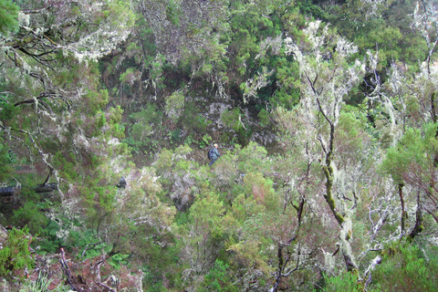 Spacery po Maderze: Rabaçal i 25 fontannMadeira Walks - Rabaçal i 25 fontann