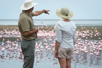 Walvis Bay, 4x4 Deserto Escursione a Sandwich Harbour Bay - Hizvo