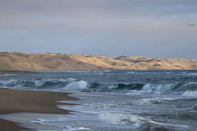 Walvis Bay: 4x4 Desert Excursion to Sandwich Harbour Bay | GetYourGuide