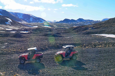 Da Reykjavik: Avventura in buggy e osservazione delle baleneBuggy e tour di osservazione delle balene - Pilota singolo