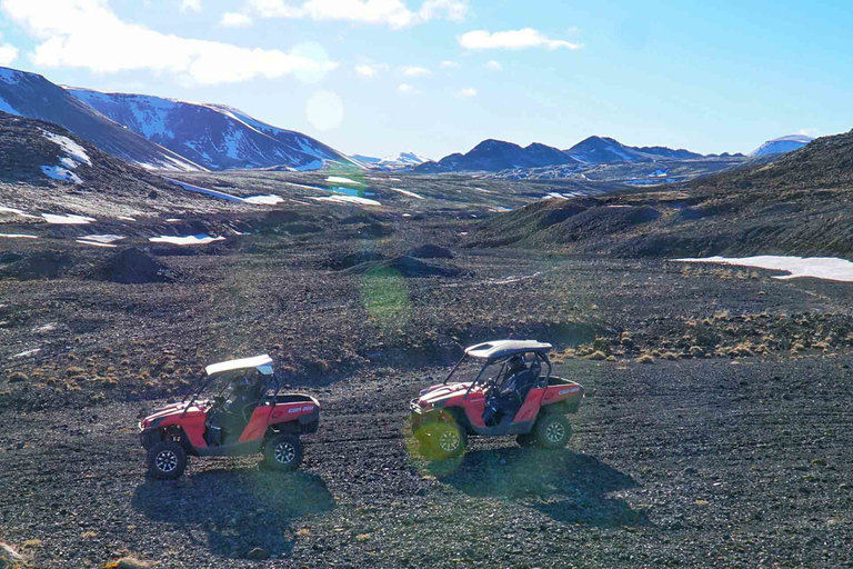 Desde Reikiavik: Aventura en buggy y avistamiento de ballenasPaseo en buggy y avistamiento de ballenas - jinete único