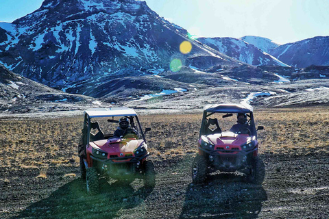 Ab Reykjavik: Buggy-Abenteuer & Wal-BeobachtungBuggy-Abenteuer und Walbeobachtung