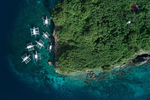 Cebu: pływanie z sardynkami i obserwacja delfinów w MoalboalSama wycieczka