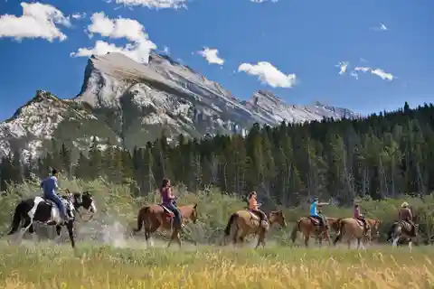 Banff: Passeio a cavalo de 3 horas pelo circuito de Bow Valley