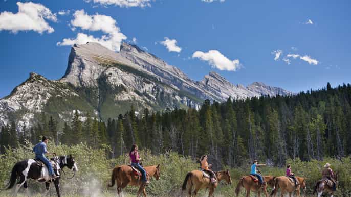 banff 3hour bow valley loop horseback ride