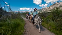 Banff, 3 ore Bow Valley Loop Horseback Ride - Hizvo