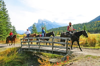 Banff, 3 ore Bow Valley Loop Horseback Ride - Hizvo