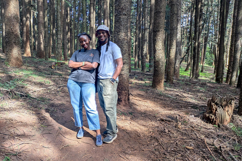 Karura Forest walking tour with nature and waterfalls.