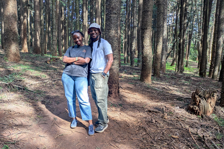 Karura Forest walking tour with nature and waterfalls.