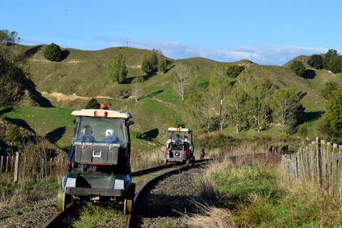 Neuseeland: Geführte 43-tägige Nordinsel Tour mit Camping