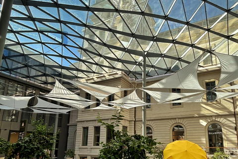 Intro to Lyon - Dynamic Walking Tours (Local Guide)