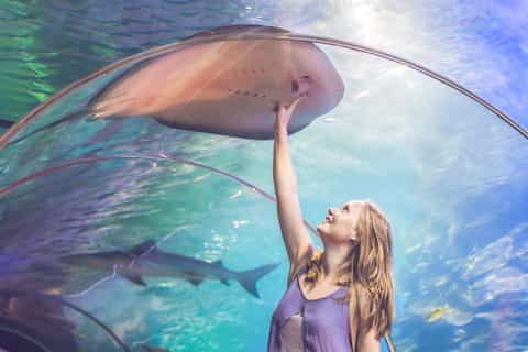 Dubai Aquarium & Level 124 Burj Khalifa Combo Tickets