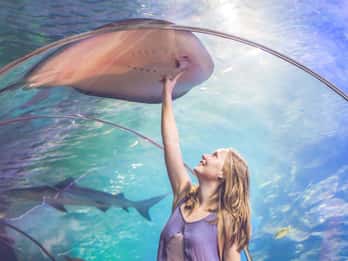 Burj Khalifa 124. Etage & Dubai-Aquarium: Kombi-Ticket Burj Khalifa 124. Etage & Dubai-Aquarium: Kombi-Ticket