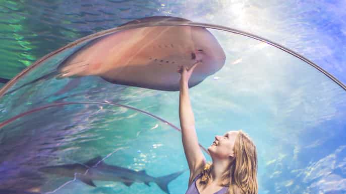 oceanarium w dubaju i 124. piętro burdż chalifa z 1 biletem