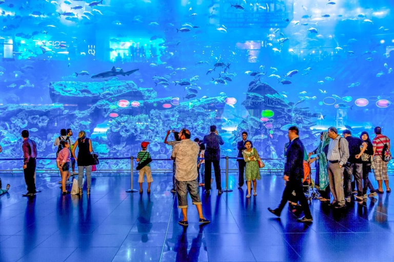 Bezoek aan Dubai Aquarium, Underwater Zoo & Penguin CoveDubai Aquarium, Underwater Zoo & Penguin Cove Experience