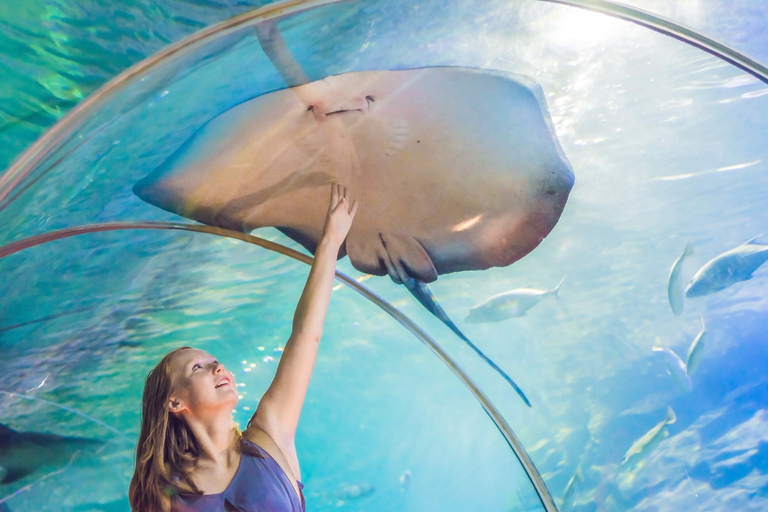 Bezoek aan Dubai Aquarium, Underwater Zoo & Penguin CoveDubai Aquarium, Underwater Zoo & Penguin Cove Experience