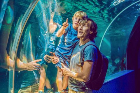 Bezoek aan Dubai Aquarium, Underwater Zoo & Penguin Cove