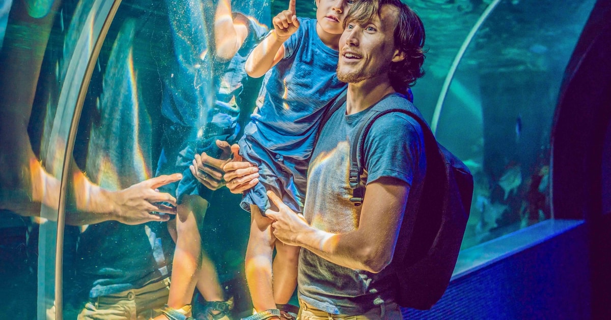 Dubai Aquarium and Underwater Zoo Ticket and Penguin Cove GetYourGuide