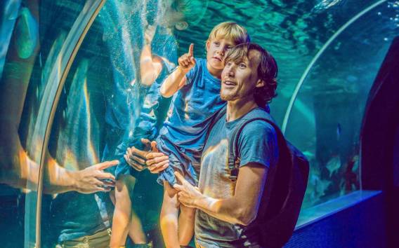 Dubai Aquarium and Underwater Zoo: Entdecker-Tour