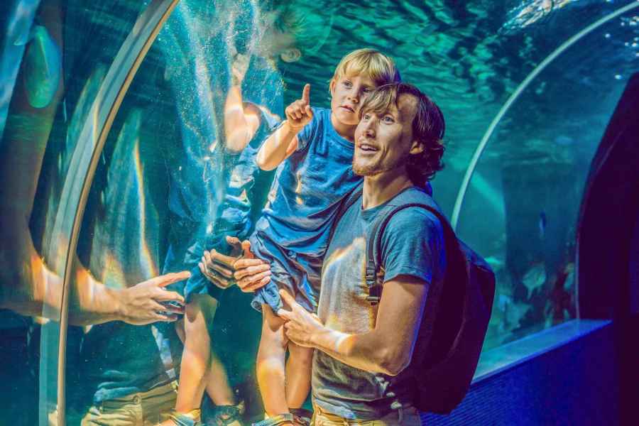 Dubai Aquarium & Underwater Zoo und Pinguin-Bucht Erlebnis