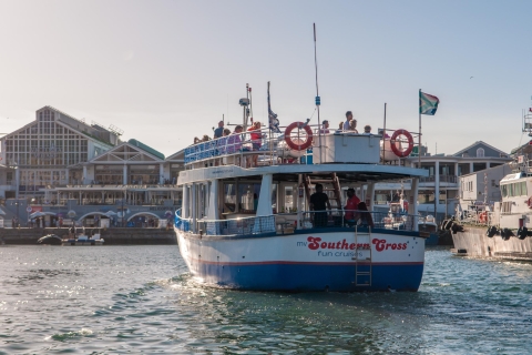 Le Cap: croisière en bateau dans le port de 30 minutes avec observation des phoques