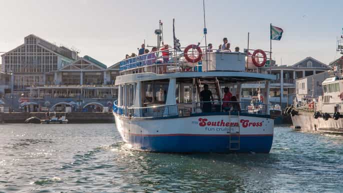 cape town 30 minute harbour boat cruise with seal watching