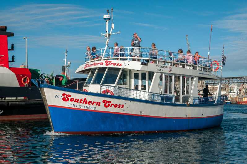Cape Town 30 Minute Harbour Boat Cruise with Seal Watching GetYourGuide