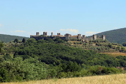 Siena, San Gimignano and Chianti Experience