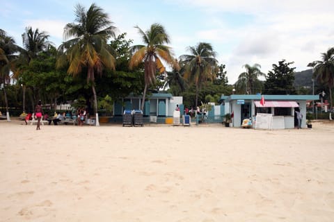 Ocho Rios Sightseeing and Fern Gully Tour