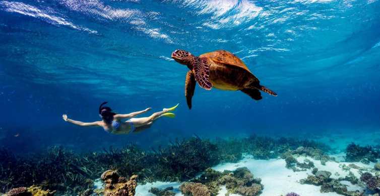 Kisite Marine Park and Wasini Island Private Tour with Lunch GetYourGuide