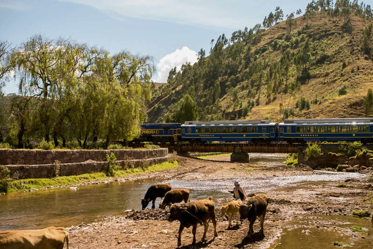 Från Cusco: Guidad heldagstur till Machu Picchu