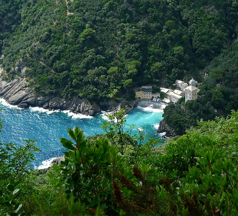 Parchi nazionali
