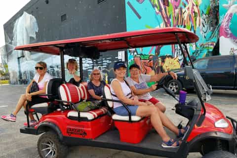 Wynwood Art District: 1-Hour Buggy Street Art Tour
