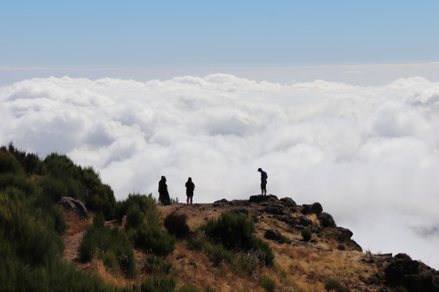 Funchal: Arieiro Peak, Nuns Valley 4x4 Tour & Dolphin Watch Funchal: Land and Sea Jeep Tour and Dolphin Watching