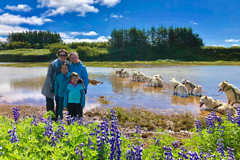 Island-Husky-Tour – Fahrt- und Kuschel-ErlebnisIsland: Husky-Schlittenfahrt und Kuschelerlebnis