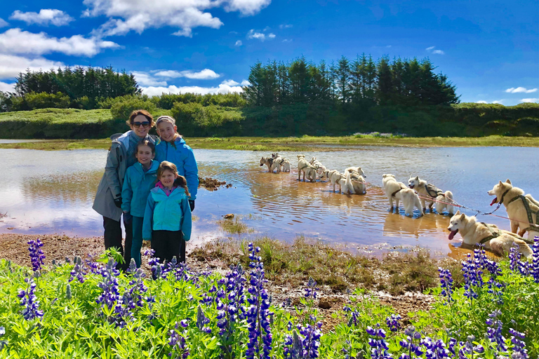 Island-Husky-Tour – Fahrt- und Kuschel-ErlebnisIsland: Husky-Schlittenfahrt und Kuschelerlebnis