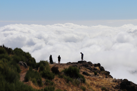 Madeira East of West Private Half-Day Tour by Open-Top JeepMadeira East of West Private Half-Day Tour door Open-Top Jeep