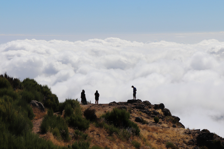 Madeira East or West Private Half-Day Tour by Open-Top Jeep