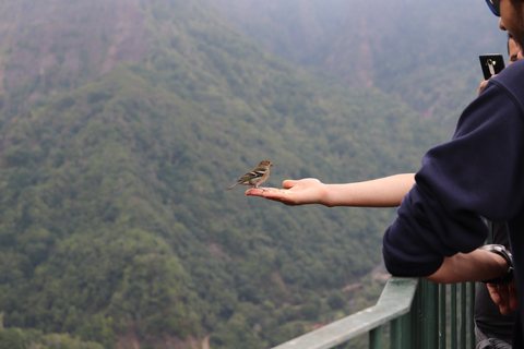 Excursão particular de meio dia ao leste ou oeste da Madeira em jipe abertoExcursão privada de meio dia a leste ou oeste da Madeira em jipe aberto