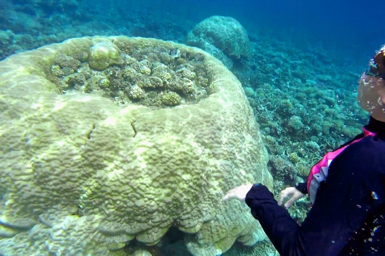 El Nido: Tour delle isole B Grotta di Cudognong e altro ancoraTour privato