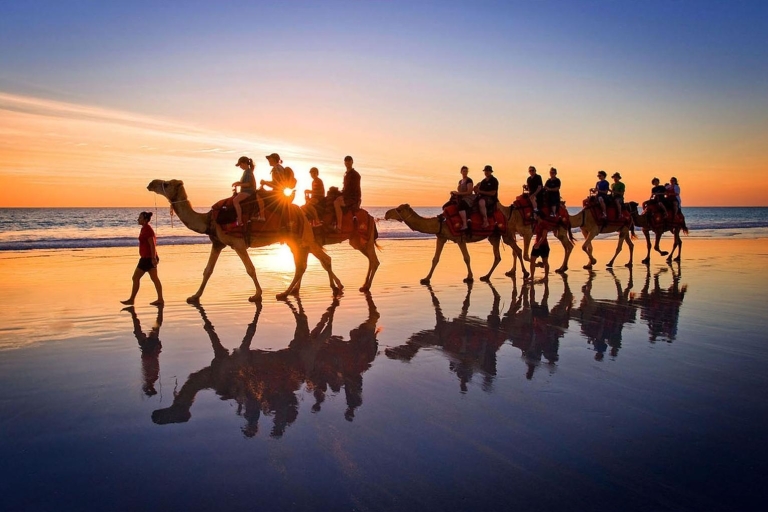 Djerba : balade en chameau au lagon